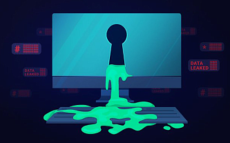 Похищена информация премиальных пользователей платформы PornHub